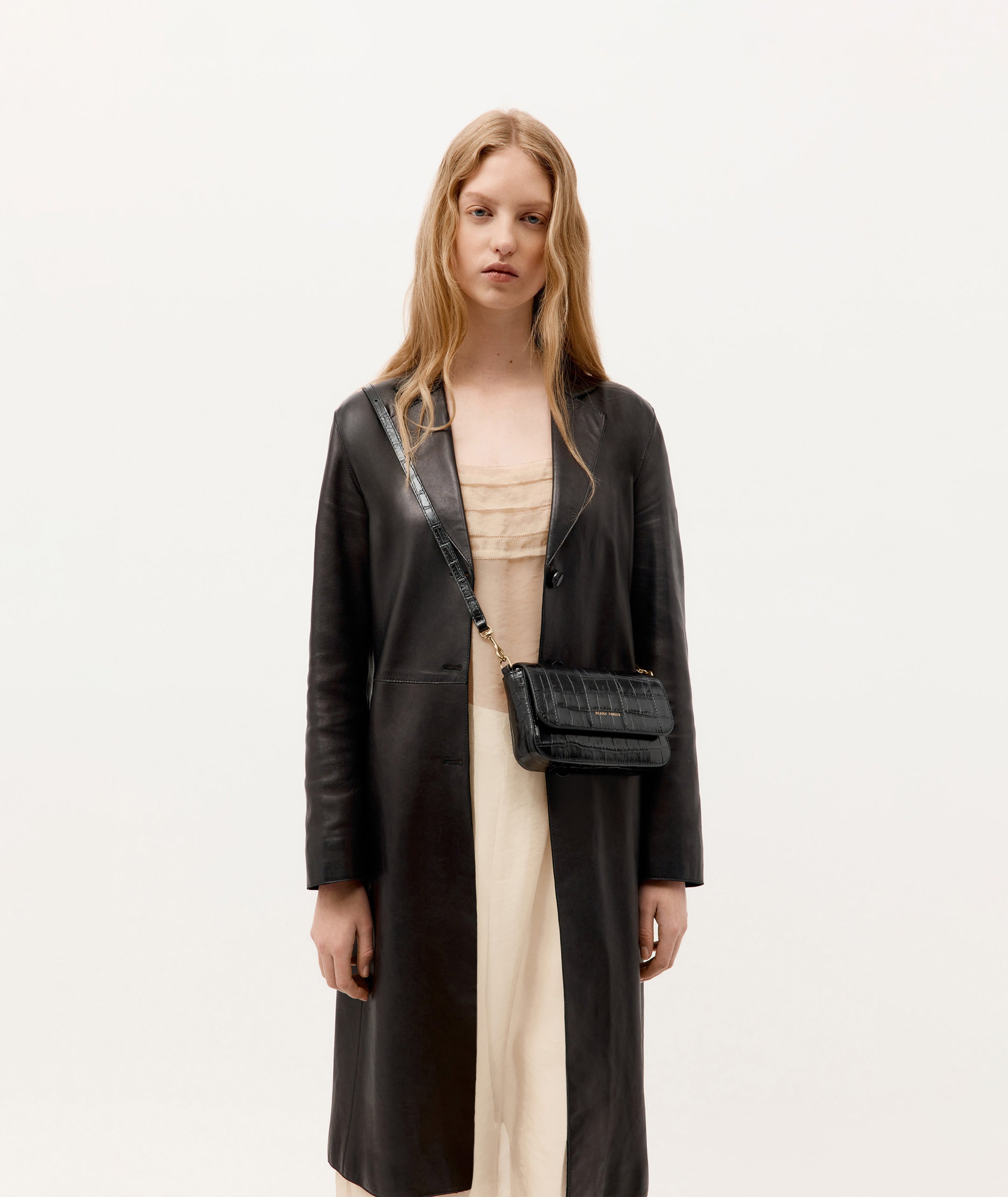 Mr D-Rex - Black Crocotile