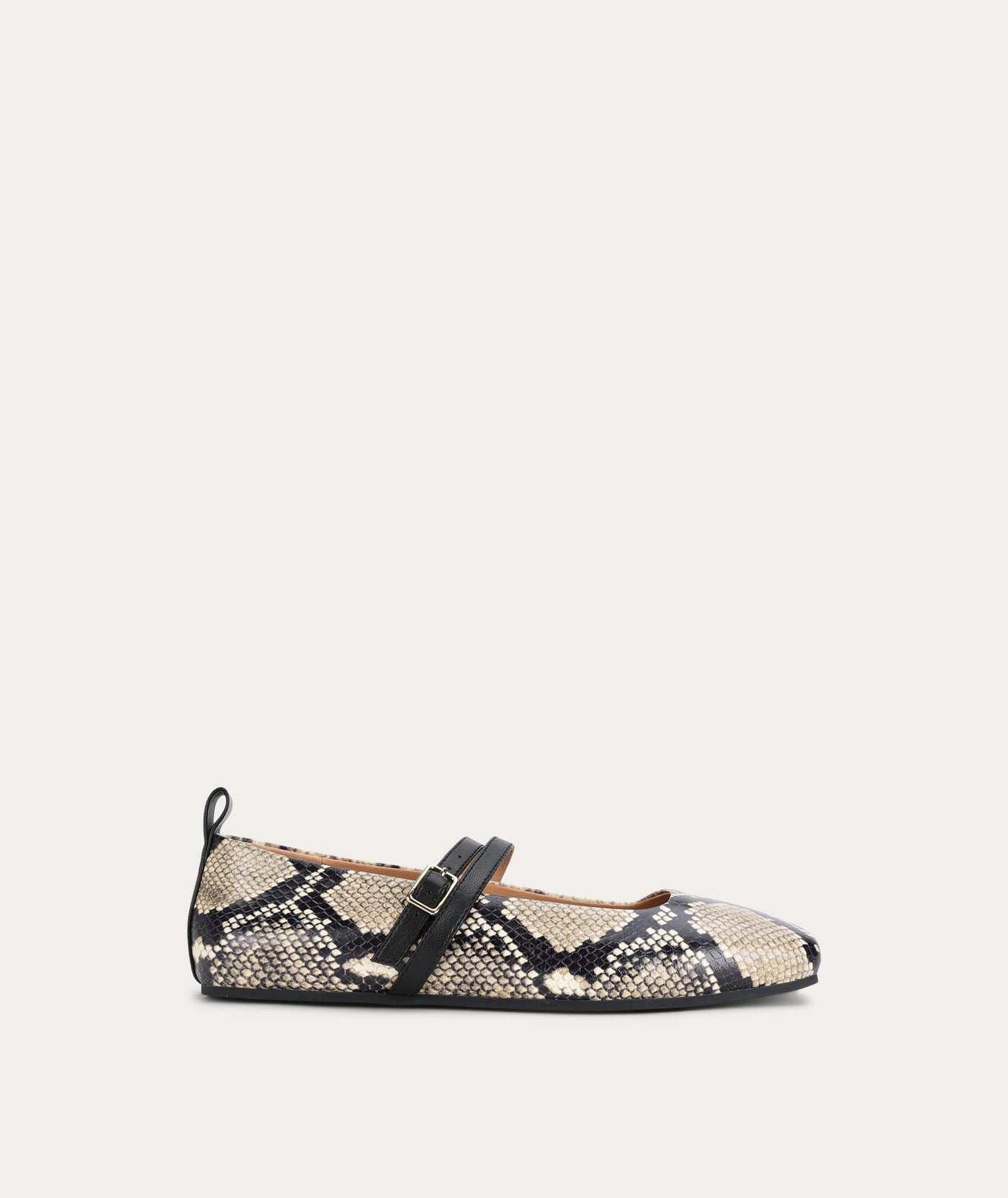 Diomedes Flat - Birch Python