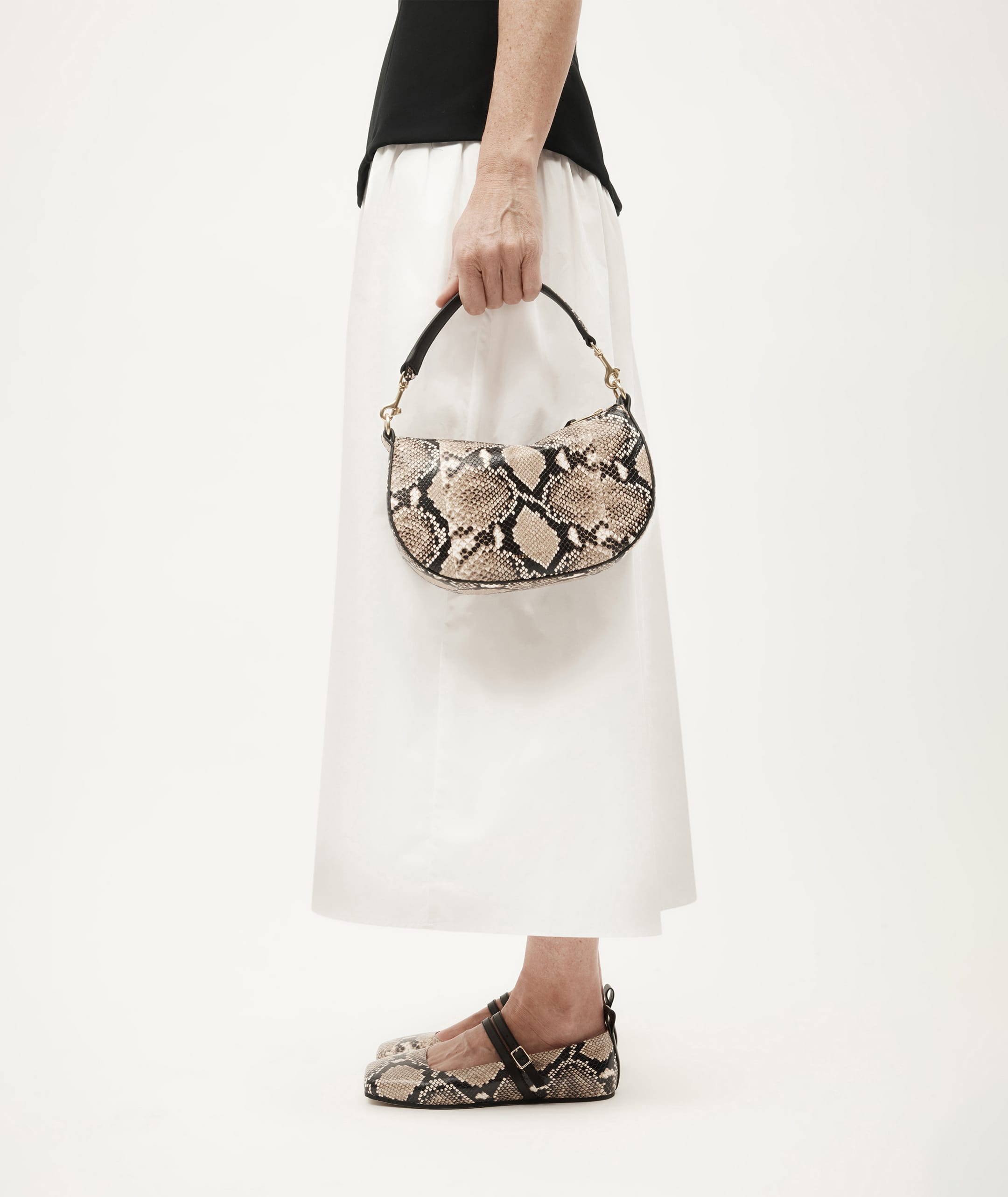 Diomedes Flat - Birch Python