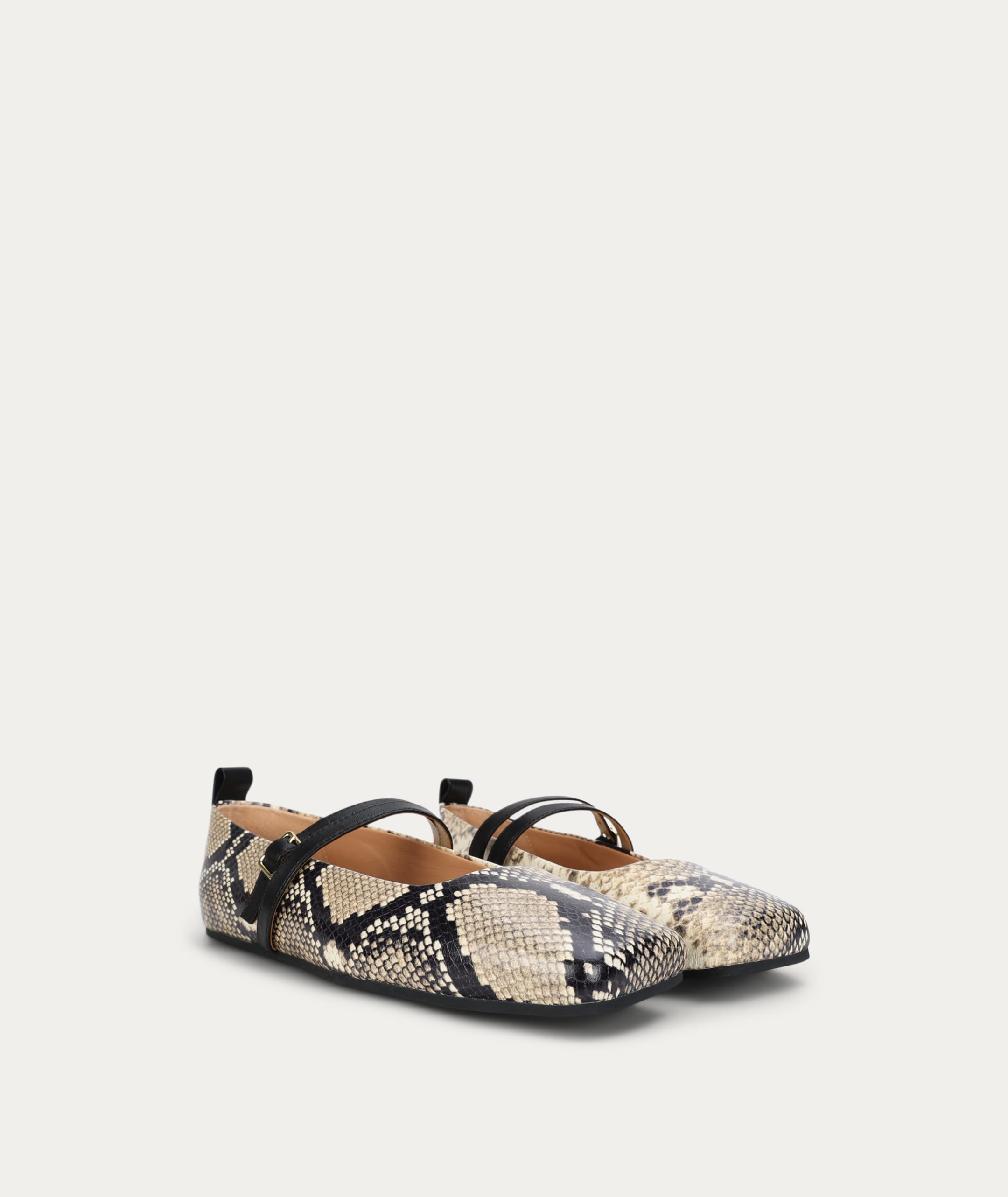 Diomedes Flat - Birch Python