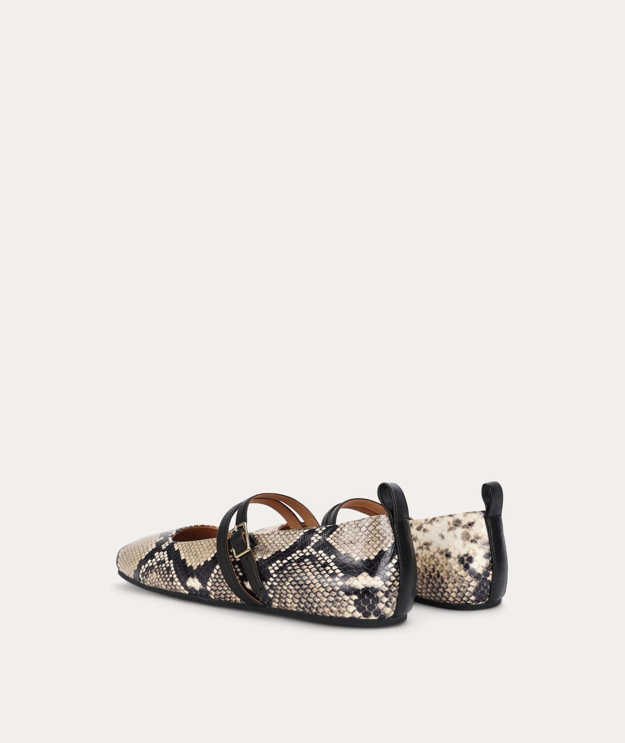 Diomedes Flat - Birch Python