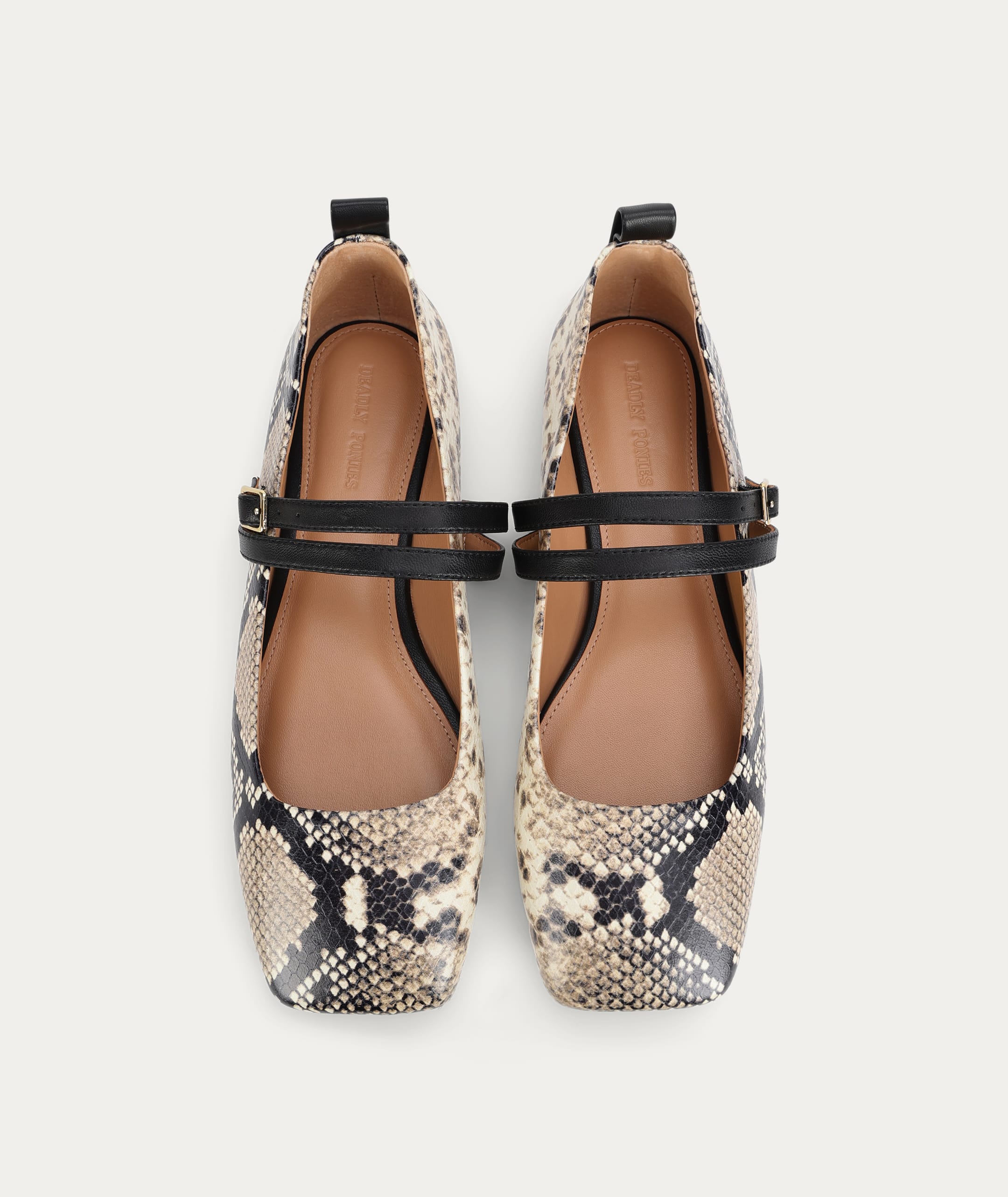 Diomedes Flat - Birch Python