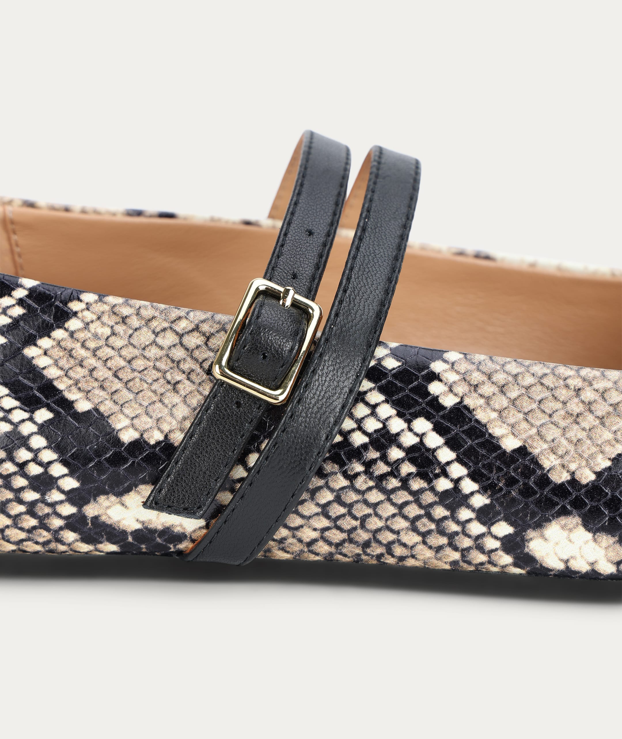 Diomedes Flat - Birch Python
