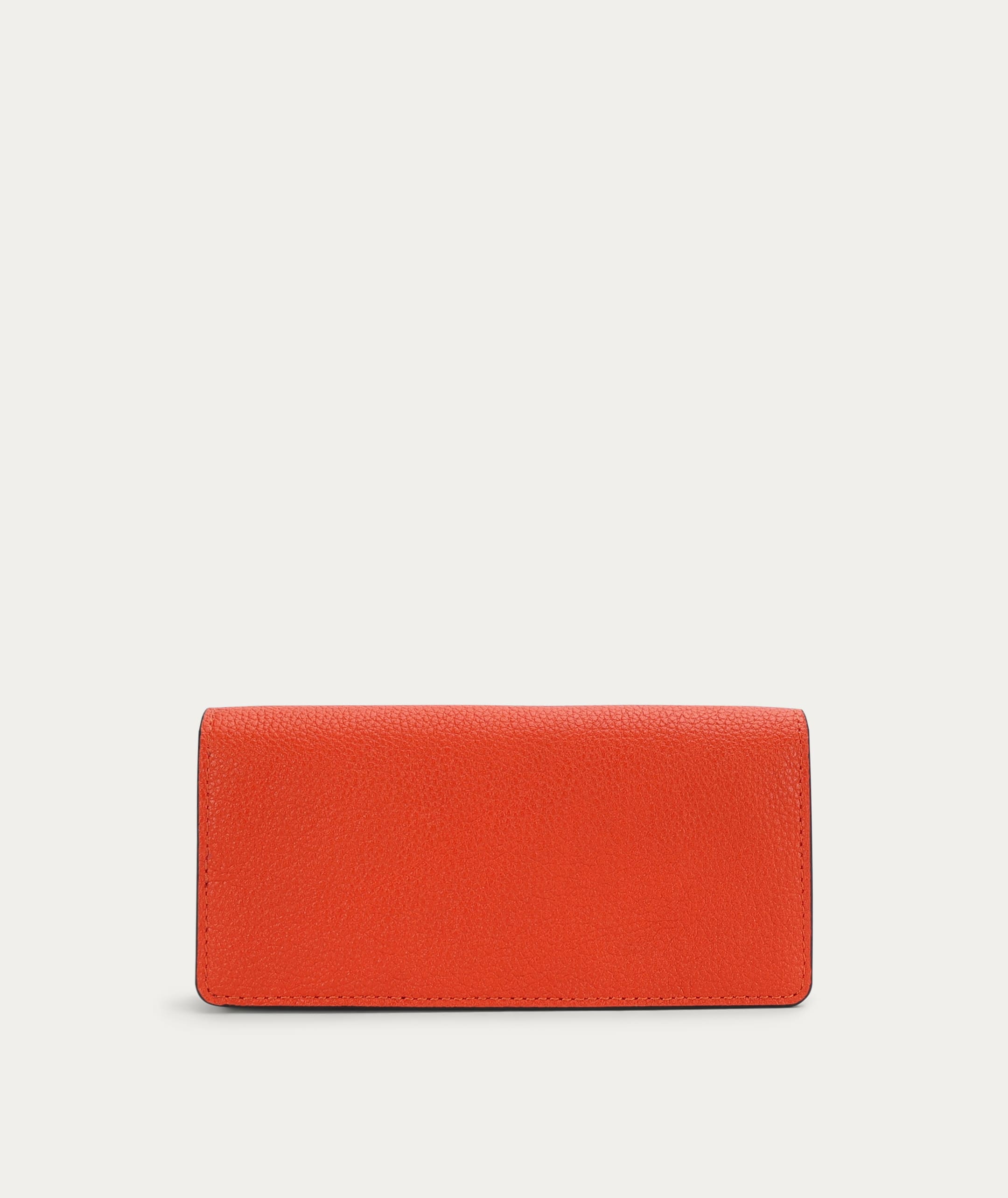 Glasses Case - Tamarillo