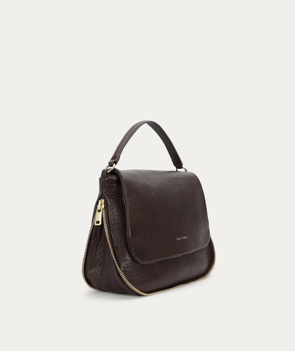 Mr Caiman - Java Bulle