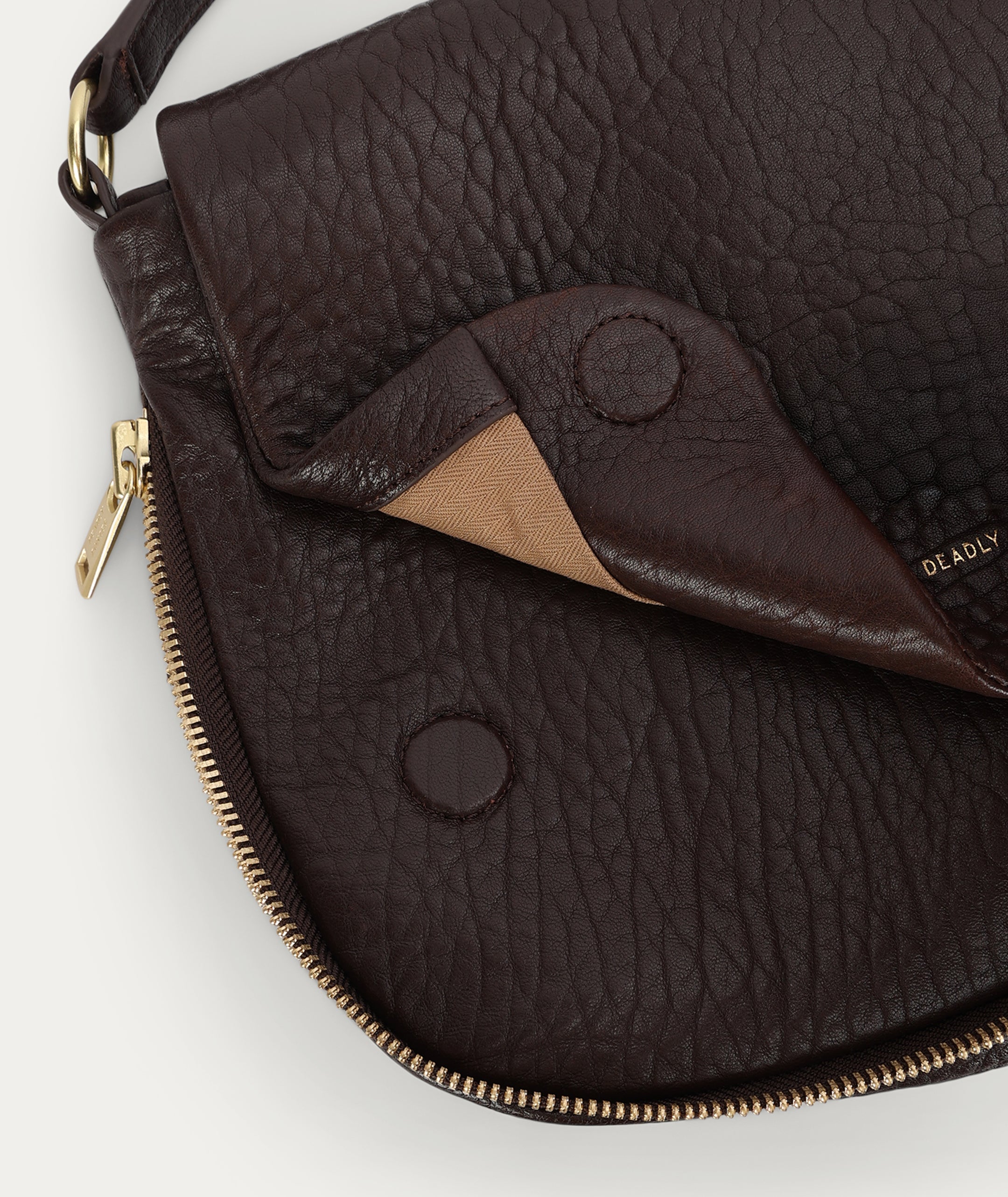 Mr Caiman - Java Bulle