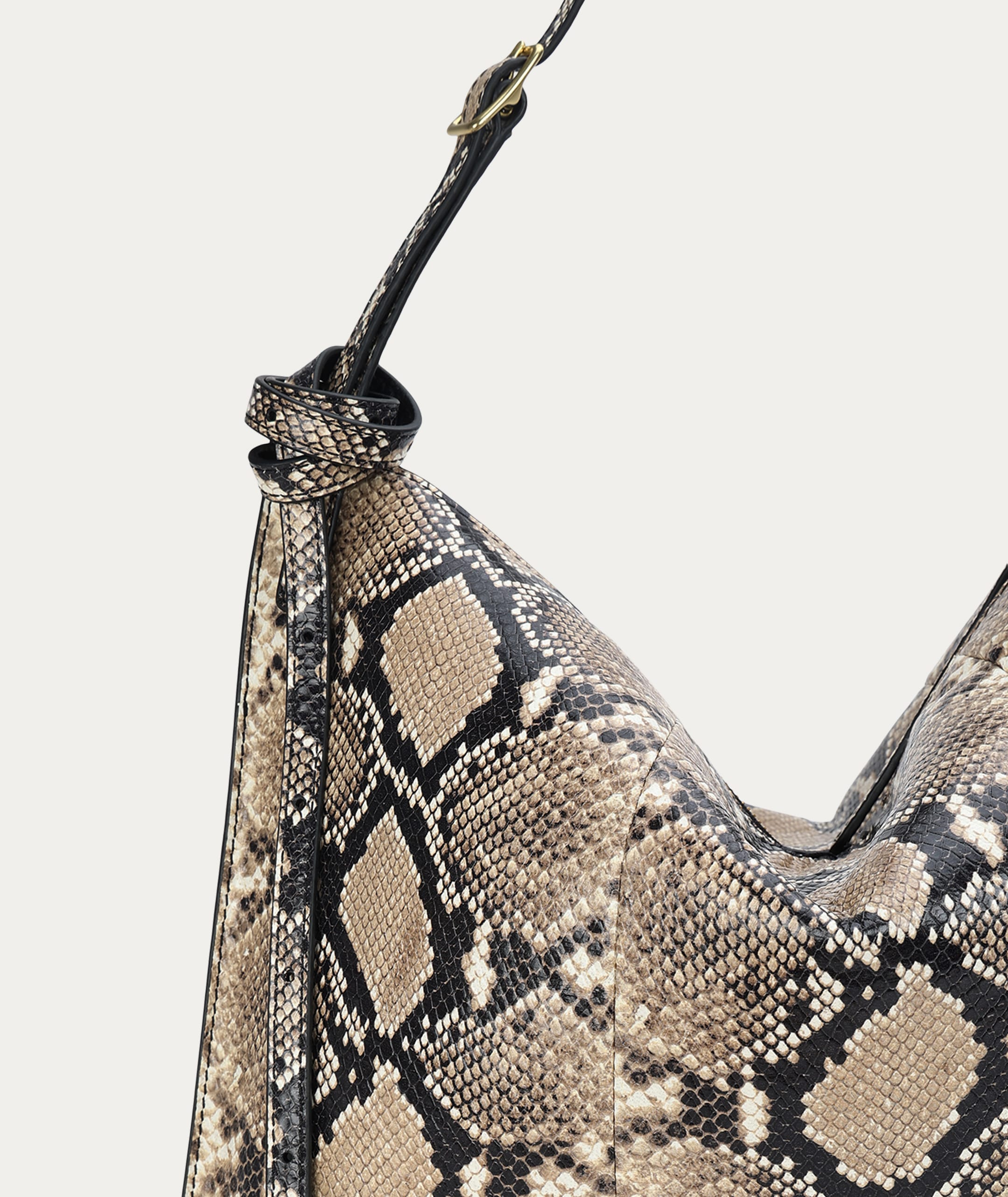 Mr Chopalopagus - Birch Python