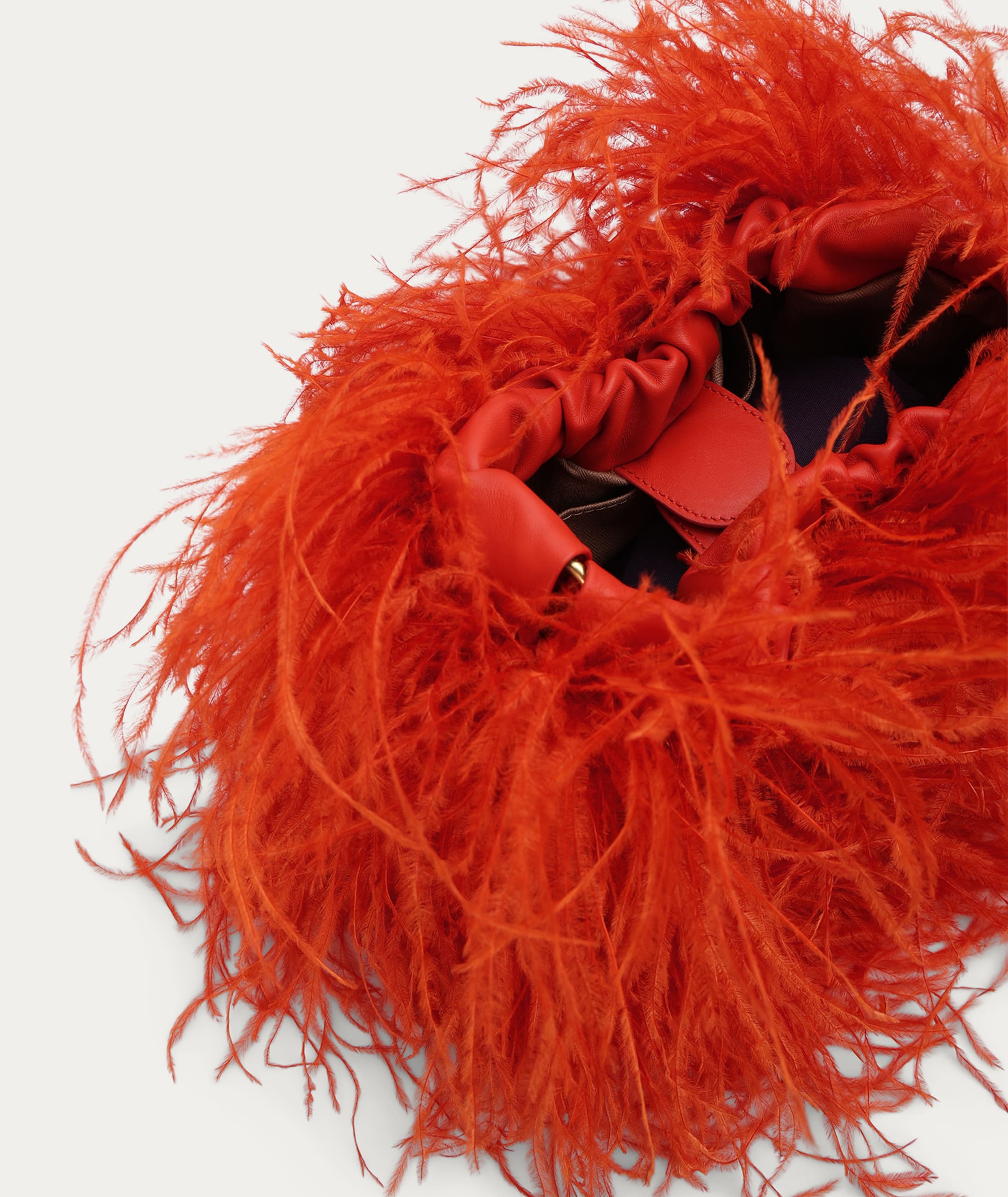 Mr Cinch Mini - Tamarillo Ostrich Feather