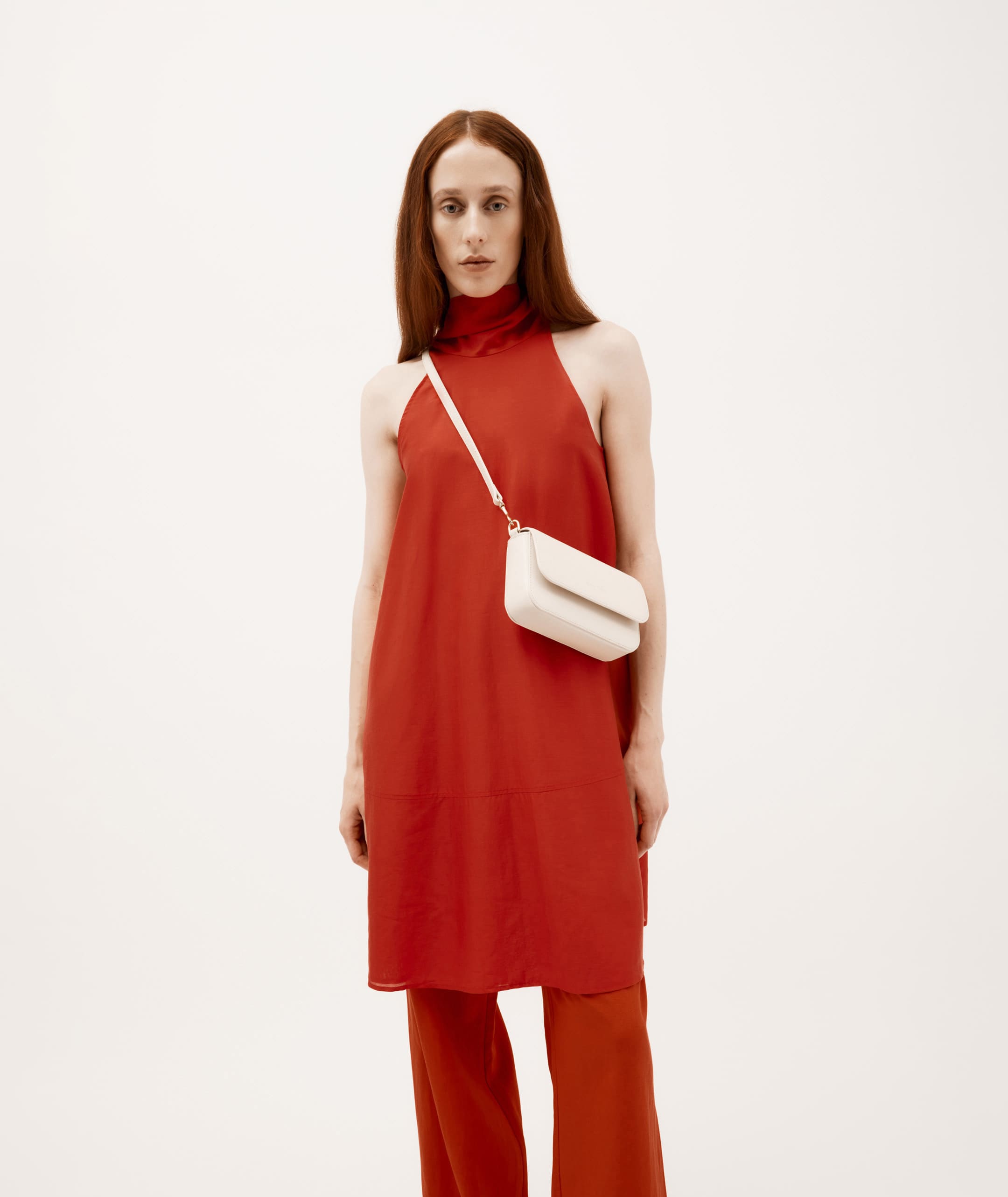 Mr D-Rex - Porcelain