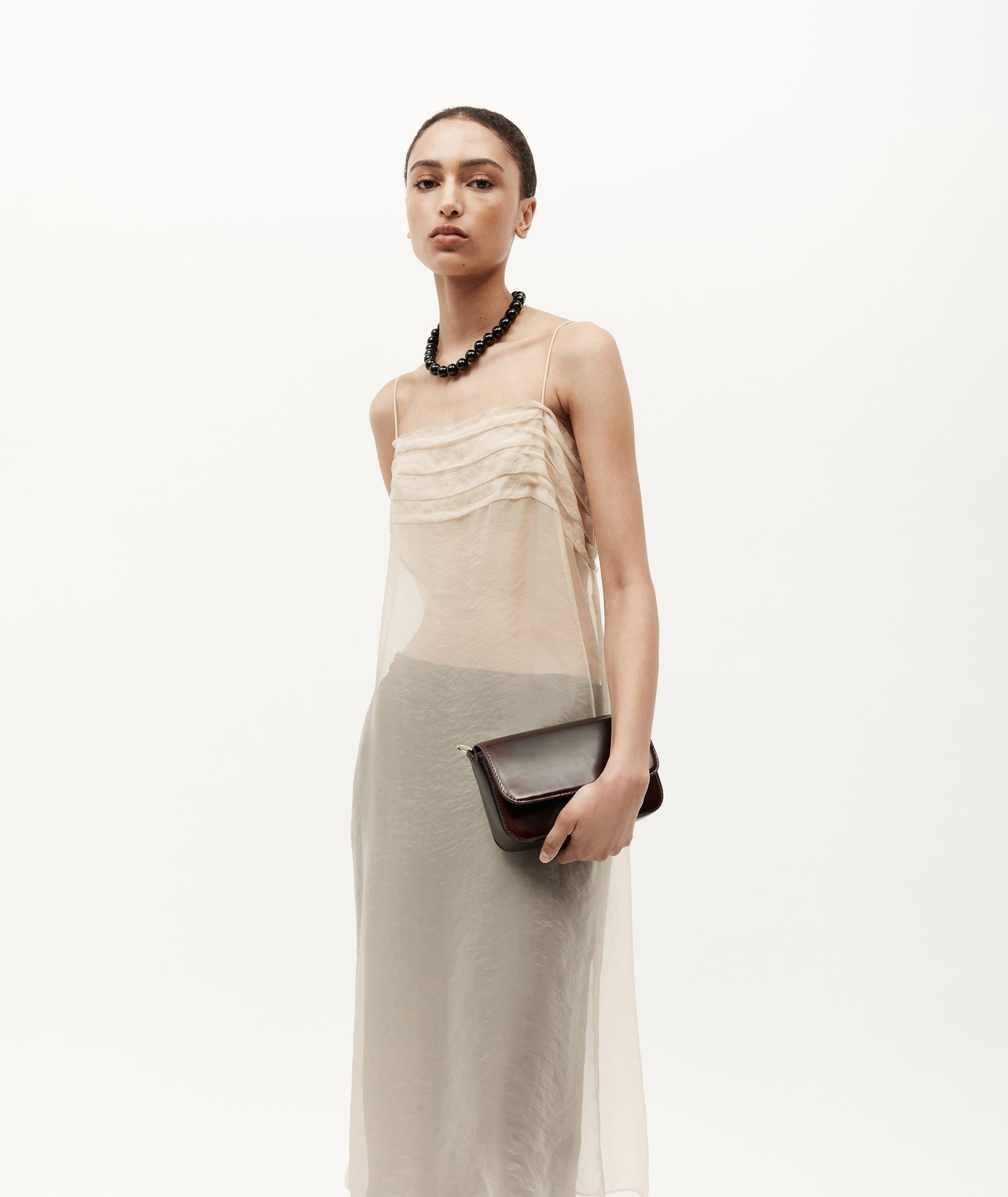 Mr D-Rex - Radicchio Burnish