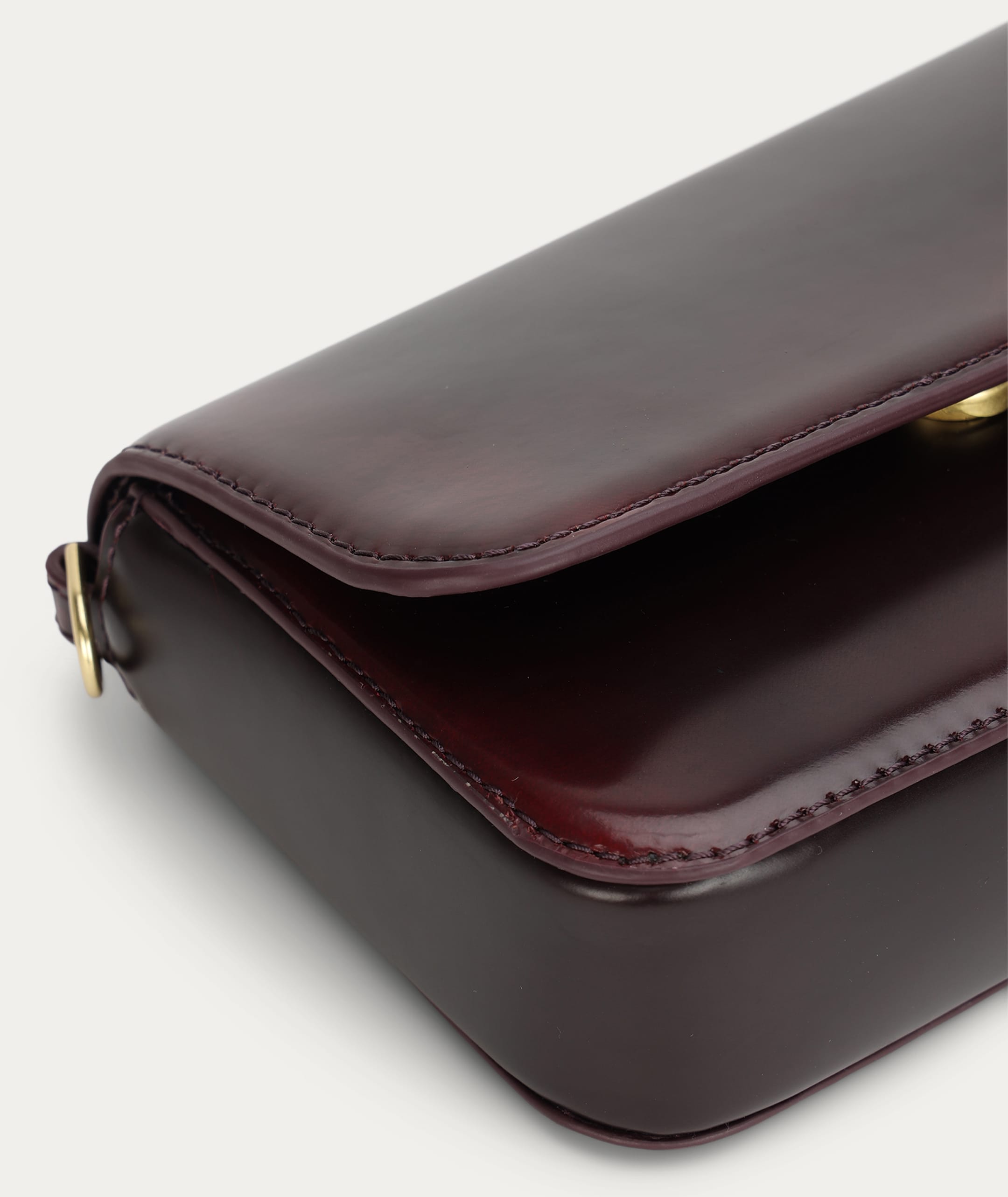 Mr D-Rex - Radicchio Burnish