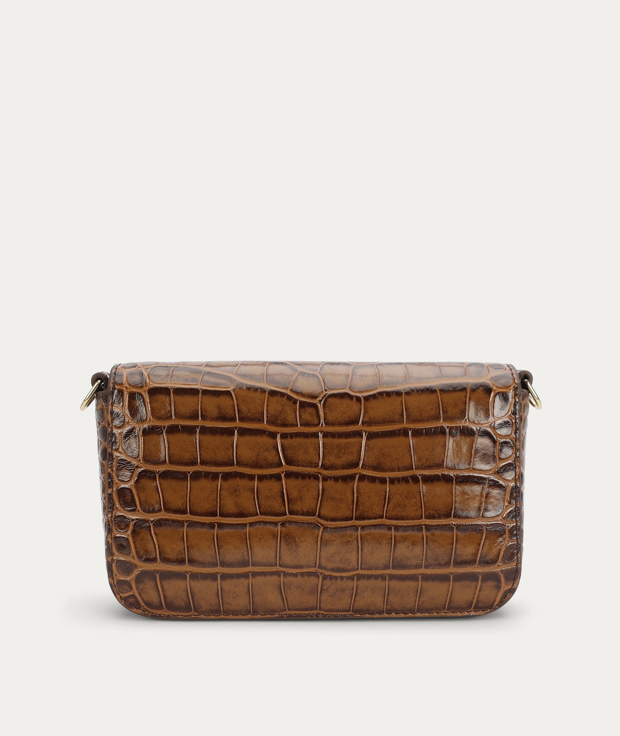 Mr D-Rex - Toffee Croc