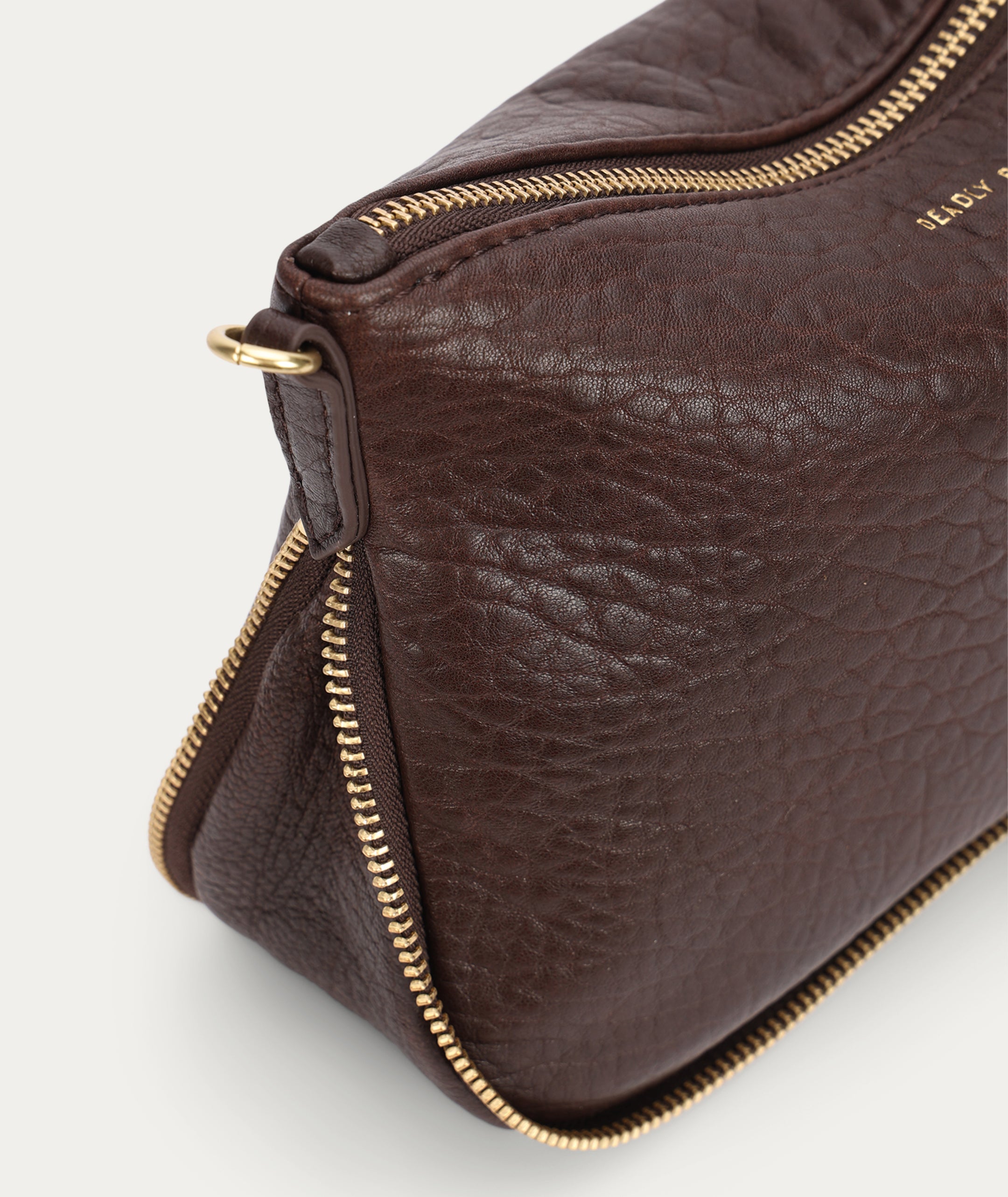 Mr Gator - Java Bulle