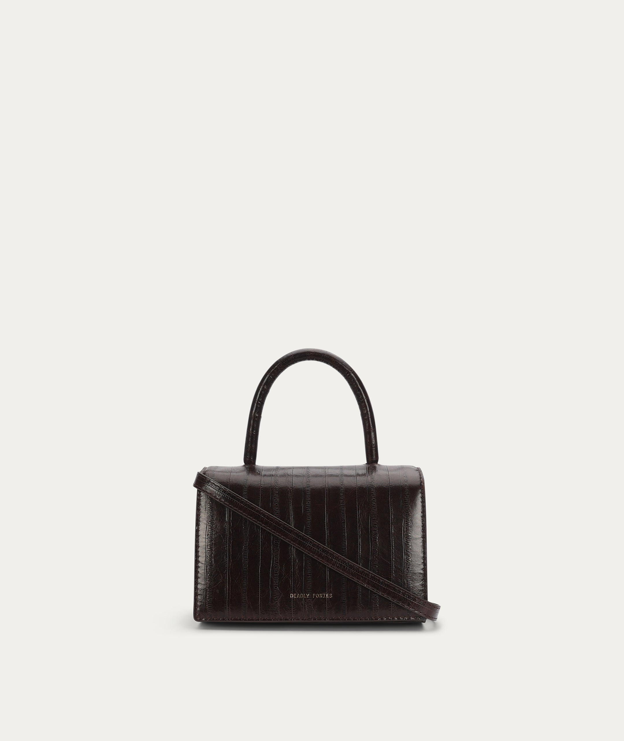 Mr Jagger - Java Eel