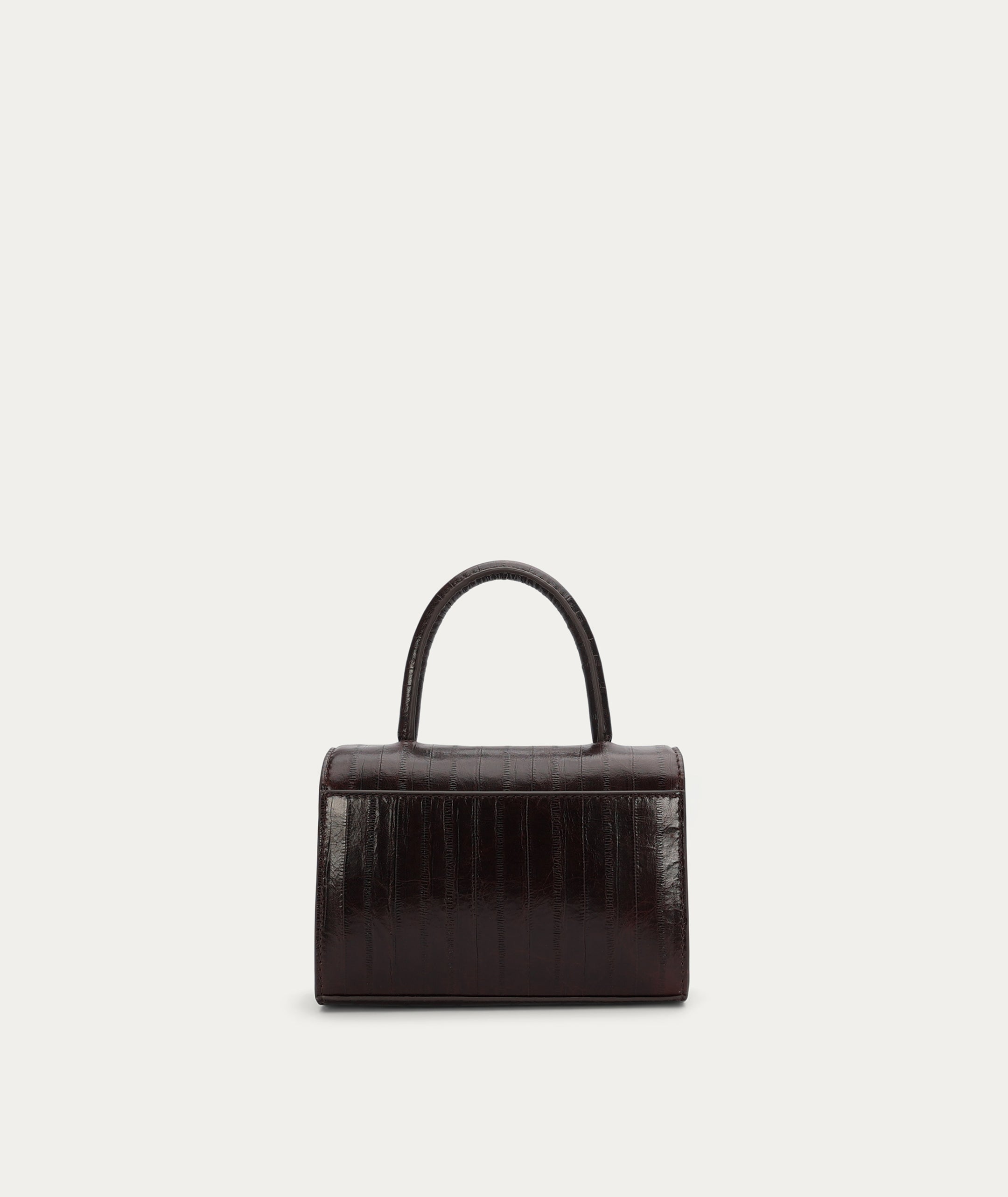 Mr Jagger - Java Eel