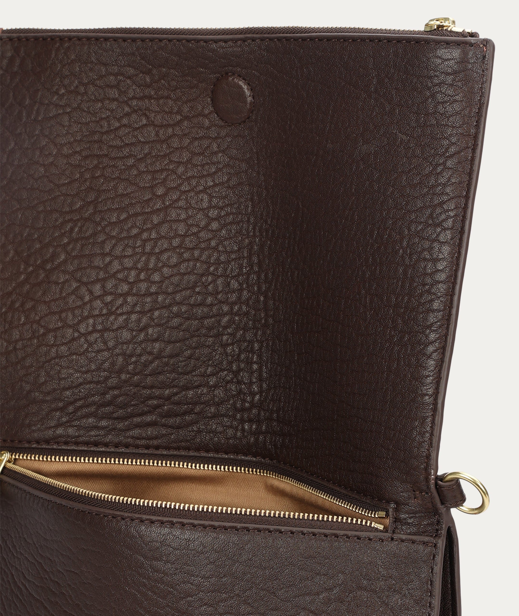 Mr Komodo - Java Bulle