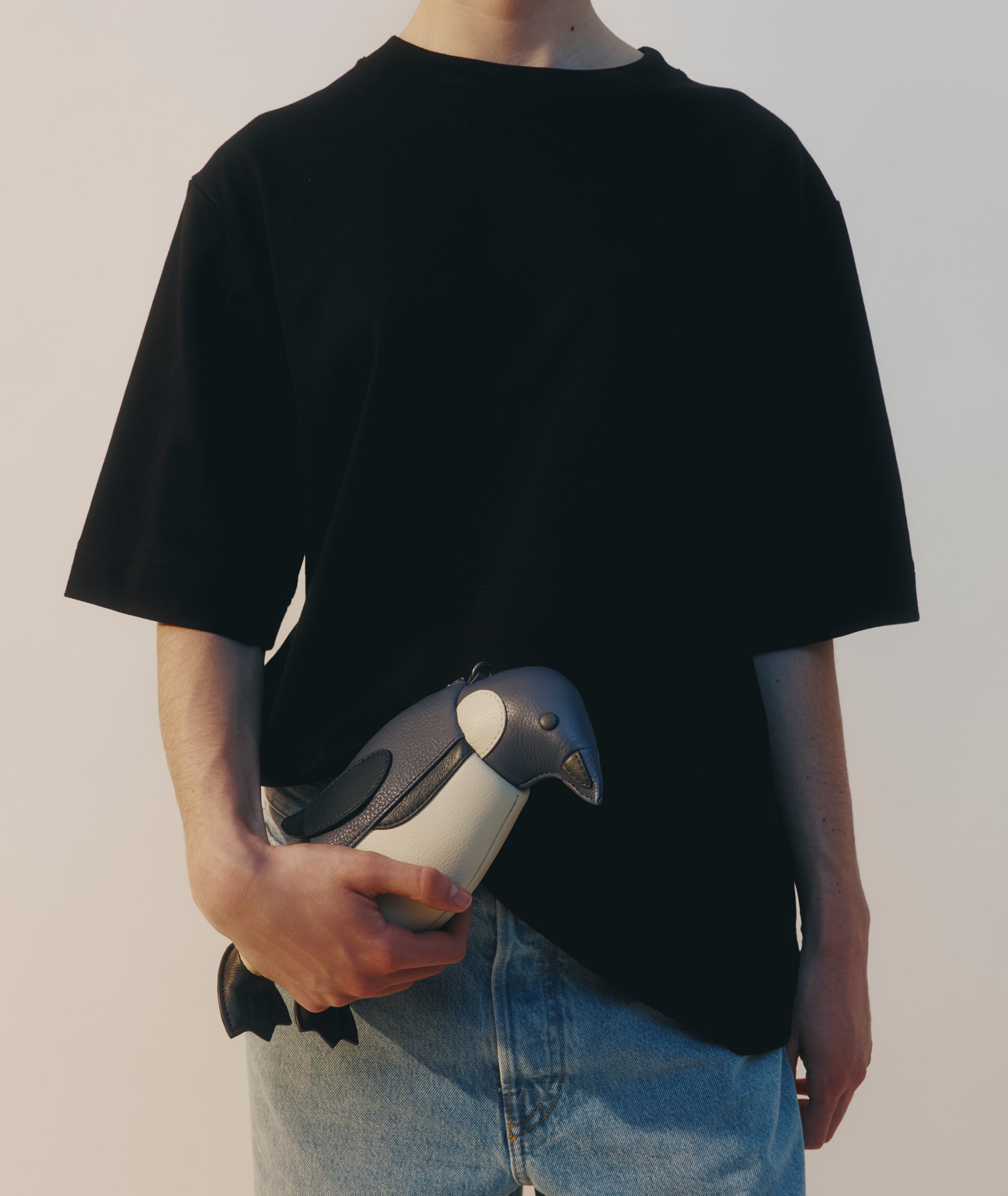 Mr Kororā - Oamaru Blue