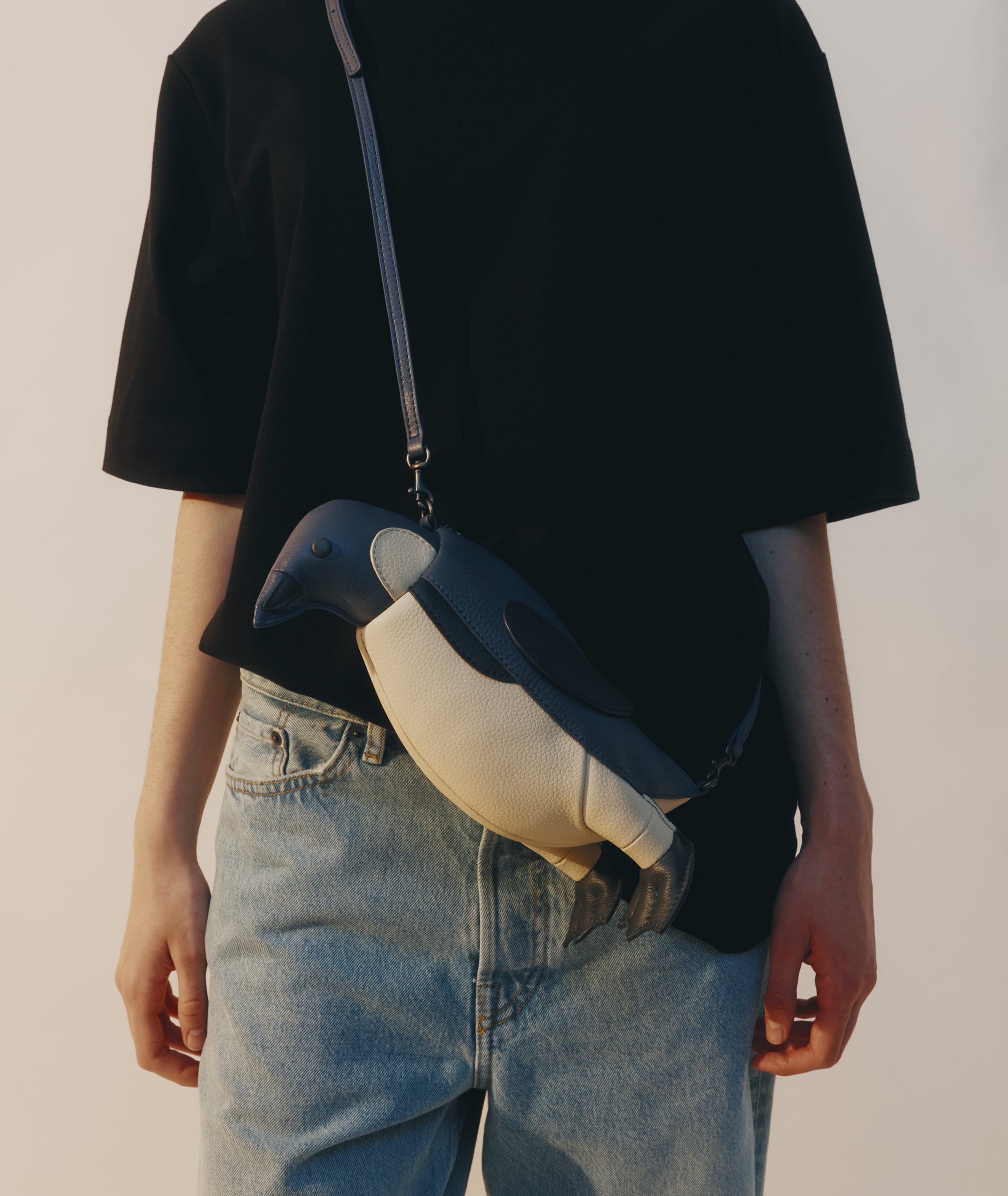 Mr Kororā - Oamaru Blue