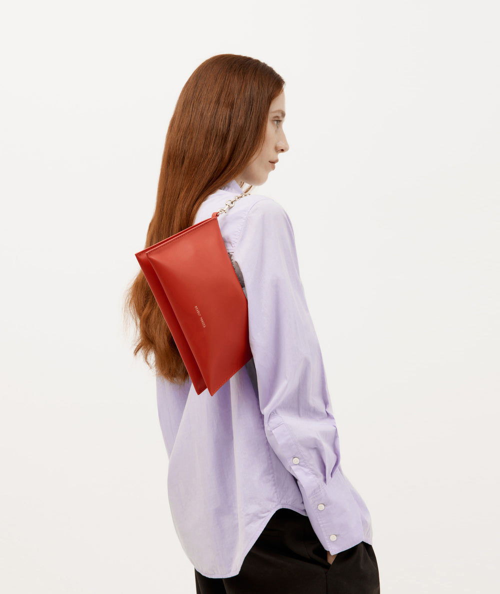 Mr Siamese - Tamarillo