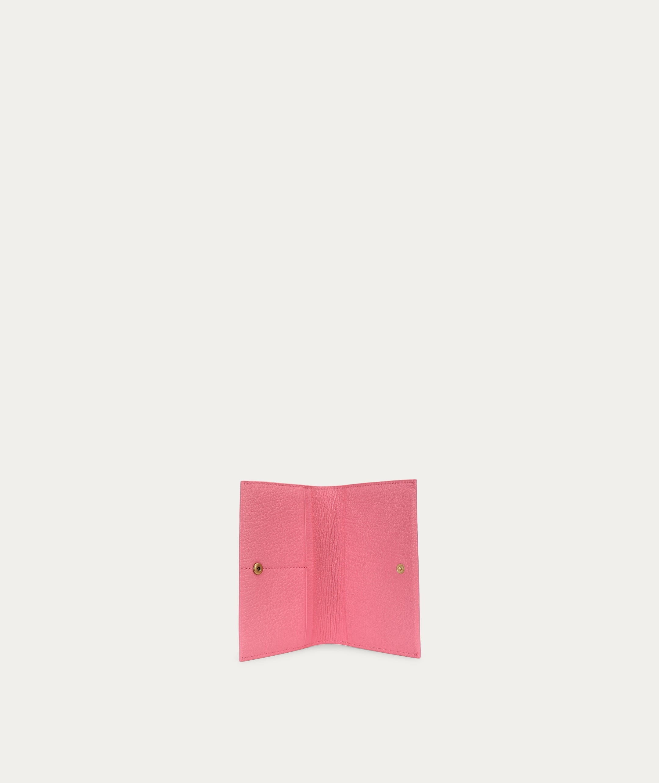Passport Wallet - Frosting