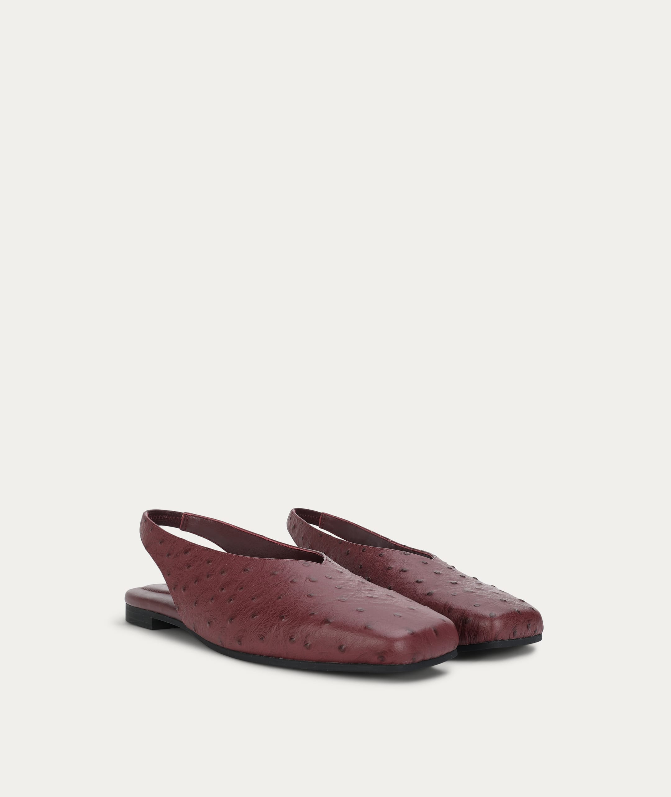 Saddleback Flat - Radicchio Ostrich
