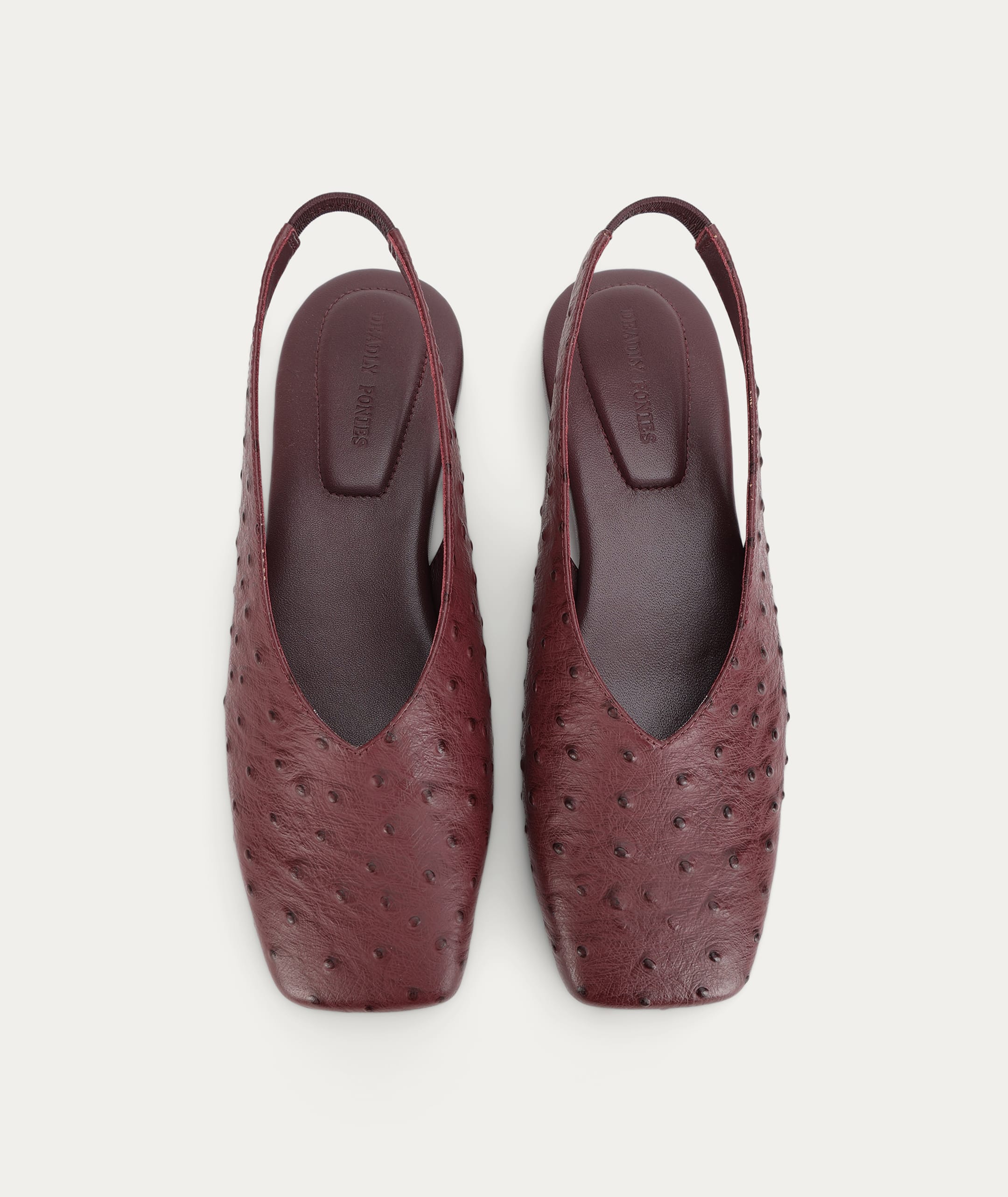 Saddleback Flat - Radicchio Ostrich