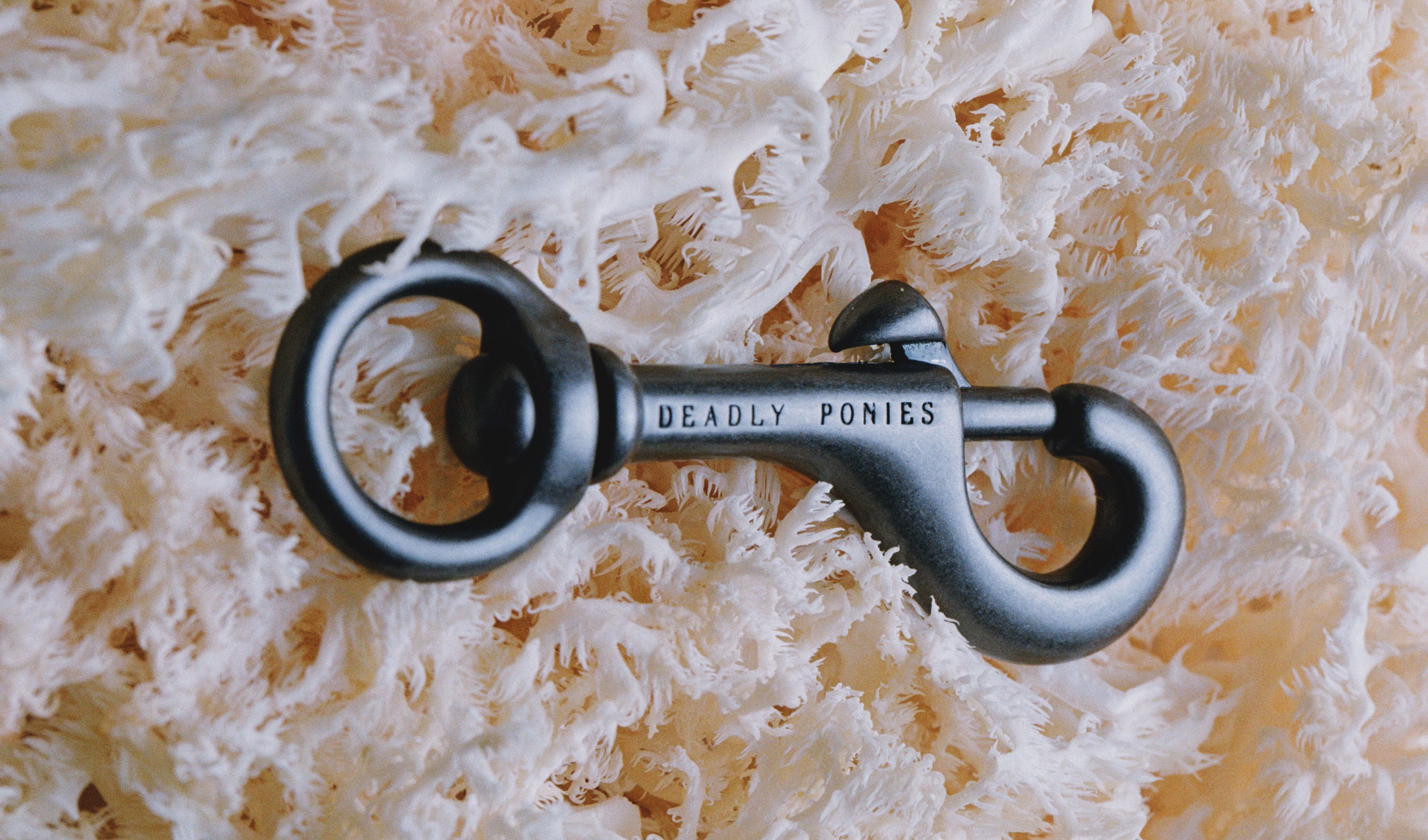 Gunmetal Brass Clicker on bed of Lion's Mane Mushrooms.